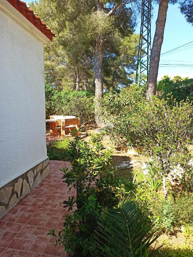 Javea Villa El Nido 10-15P Pool Minimaal 10 Nachten Geen Groep Jongelui מראה חיצוני תמונה